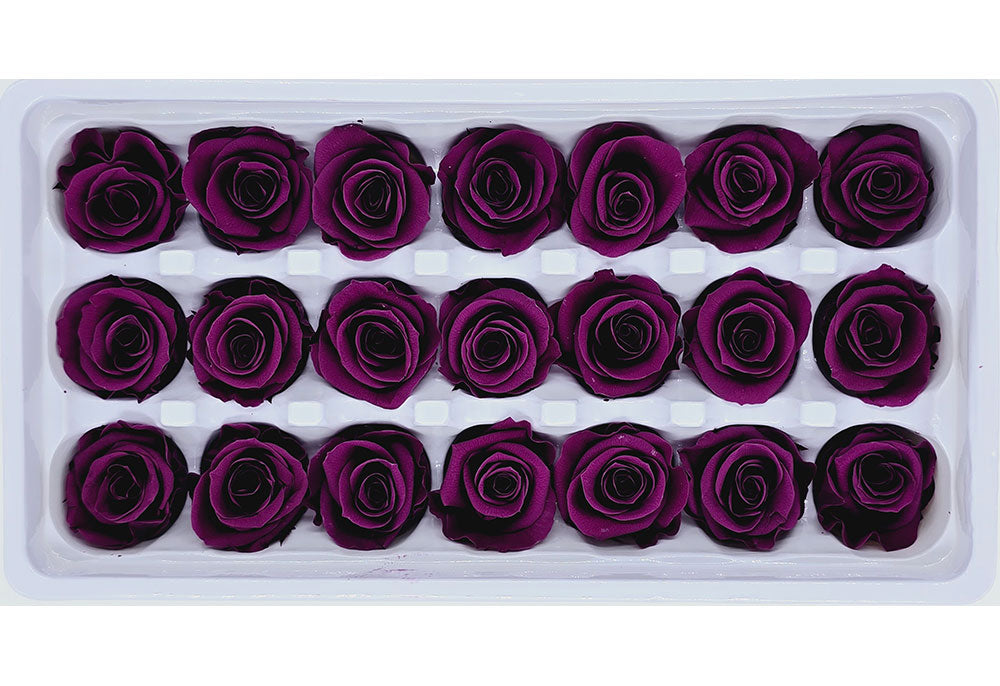 Purple Roses Walmart Wholesale Preserved Roses | 21 Roses In A Box - Dark Purple Colour ...