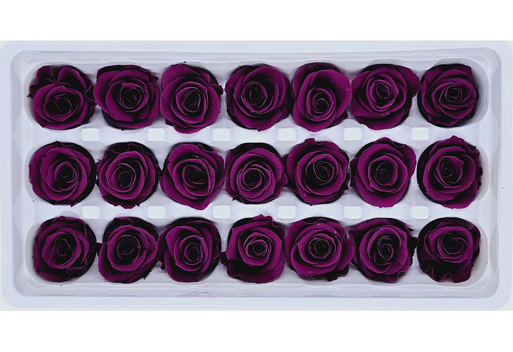 21 Preserved Roses In A Box - Dark Purple