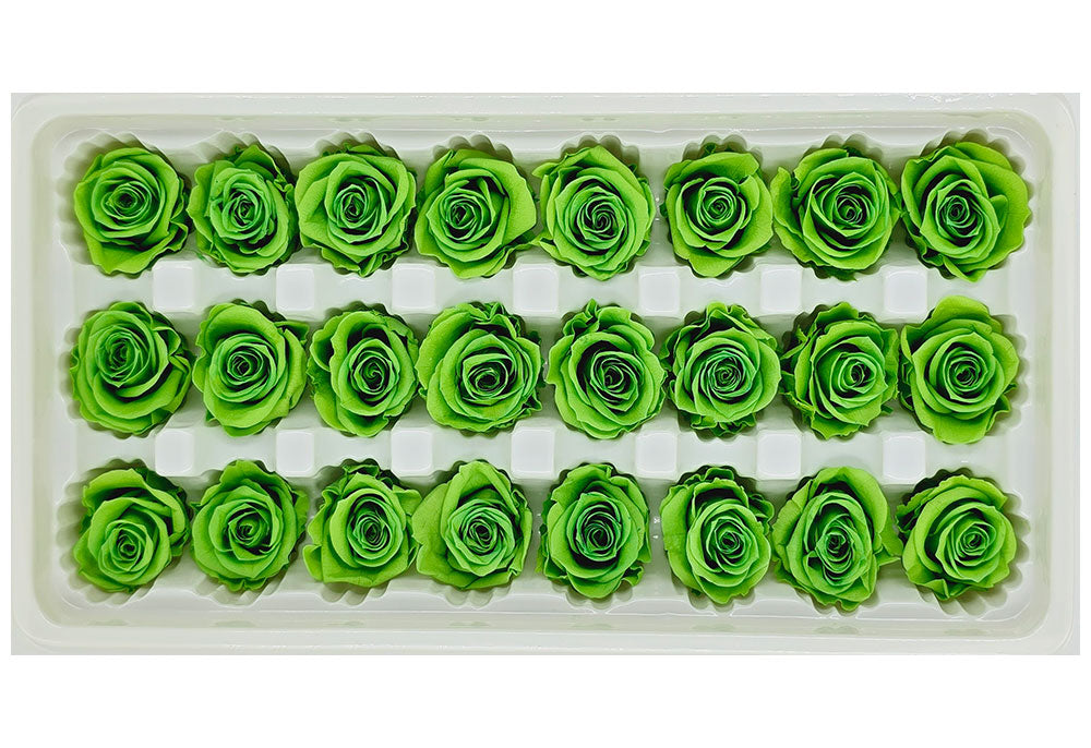 21 Preserved Roses In A Box - Green