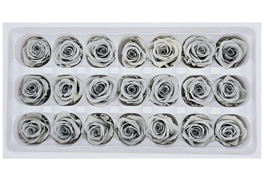 21 Preserved Roses In A Box - Grey