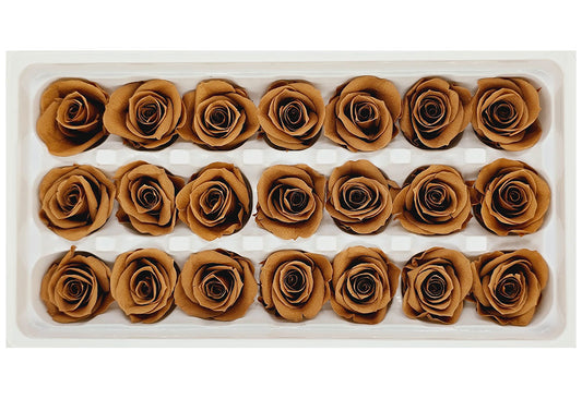 21 Preserved Roses In A Box - Light Brown