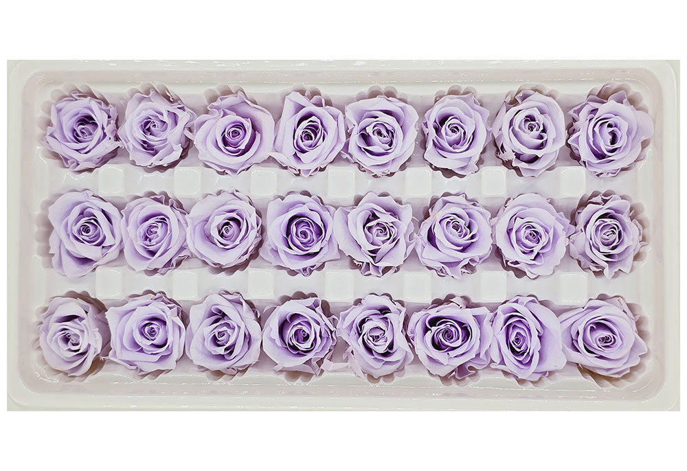 21 Preserved Roses In A Box - Light Purple