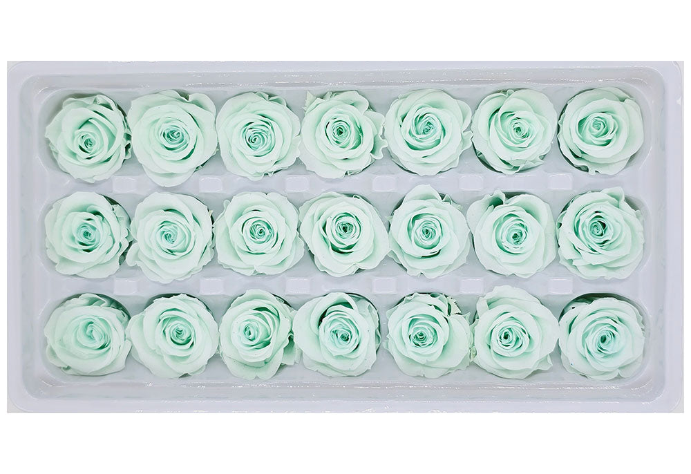 21 Preserved Roses In A Box - Light Turquoise