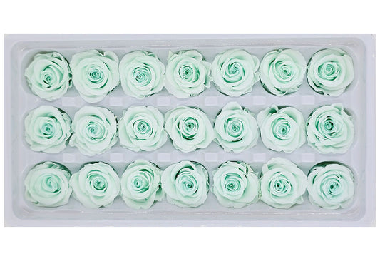 21 Preserved Roses In A Box - Light Turquoise