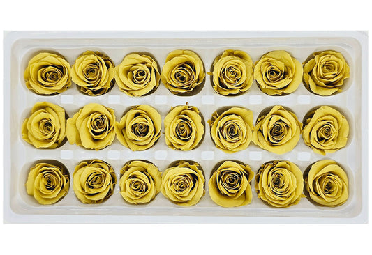 21 Preserved Roses In A Box - Mustard