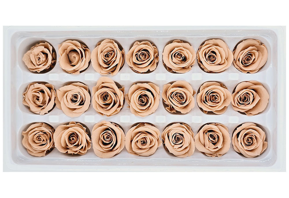 21 Preserved Roses In A Box - Nude Pink