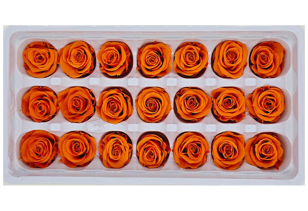 21 Preserved Roses In A Box - Orange