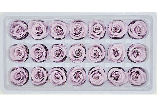 21 Preserved Roses In A Box - Pale Purple