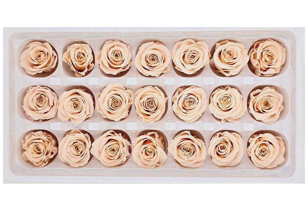 21 Preserved Roses In A Box - Peach