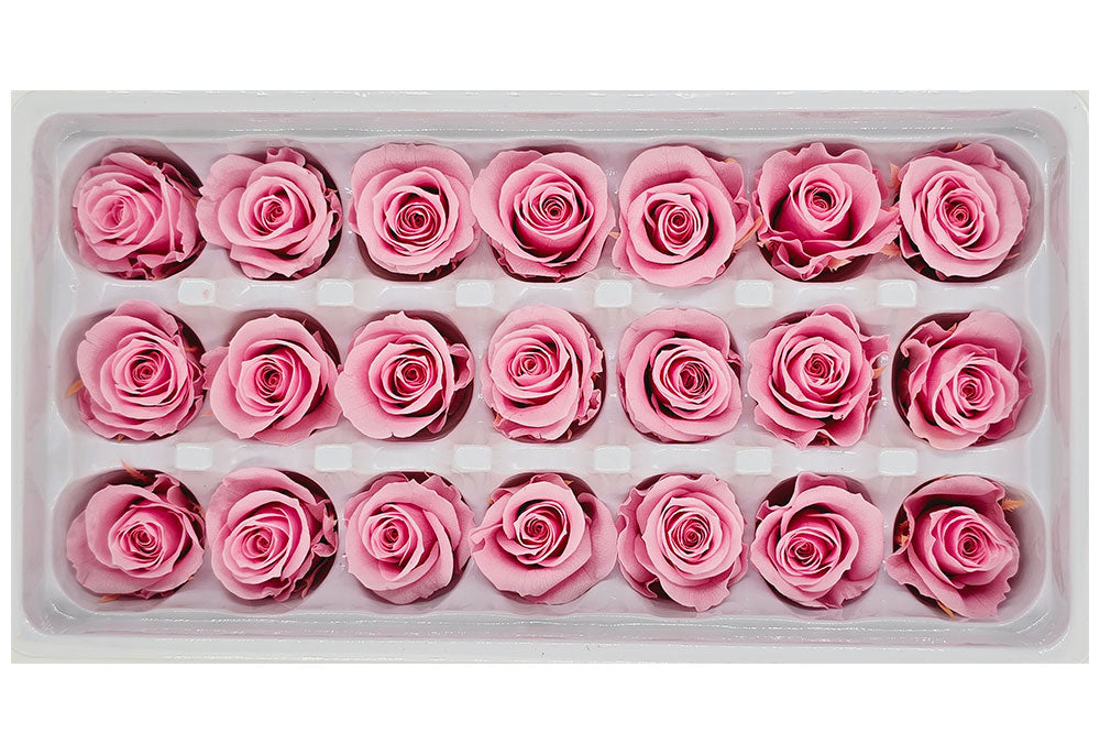 21 Preserved Roses In A Box - Pink