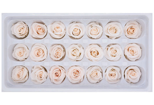 21 Preserved Roses In A Box - Pinkish White