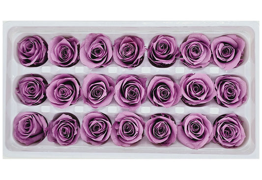 21 Preserved Roses In A Box - Purple