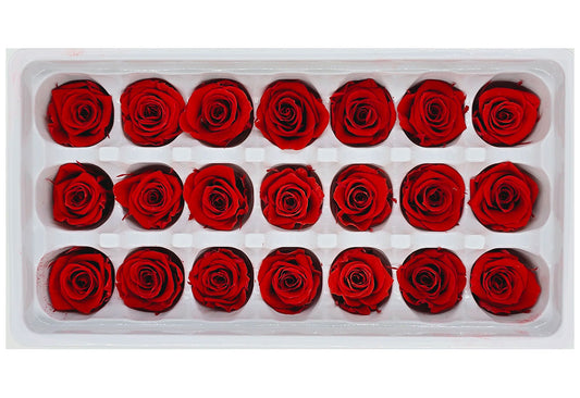 21 Preserved Roses In A Box - Red