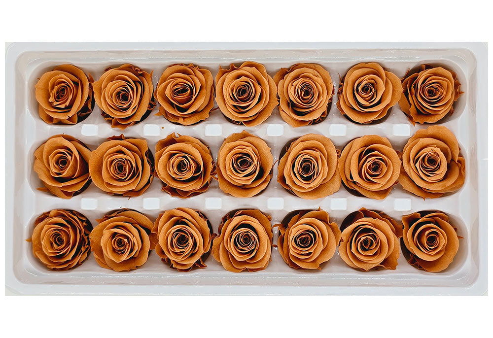 21 Preserved Roses In A Box - Retro Orange