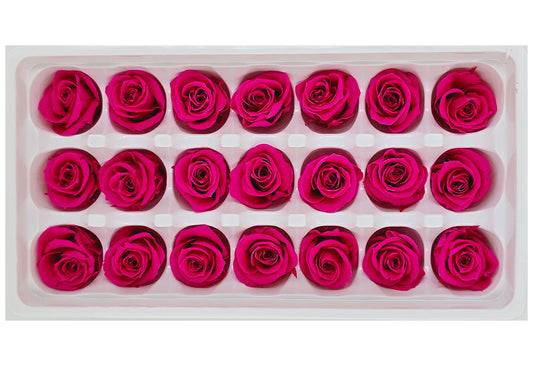 21 Preserved Roses In A Box - Rose Pink