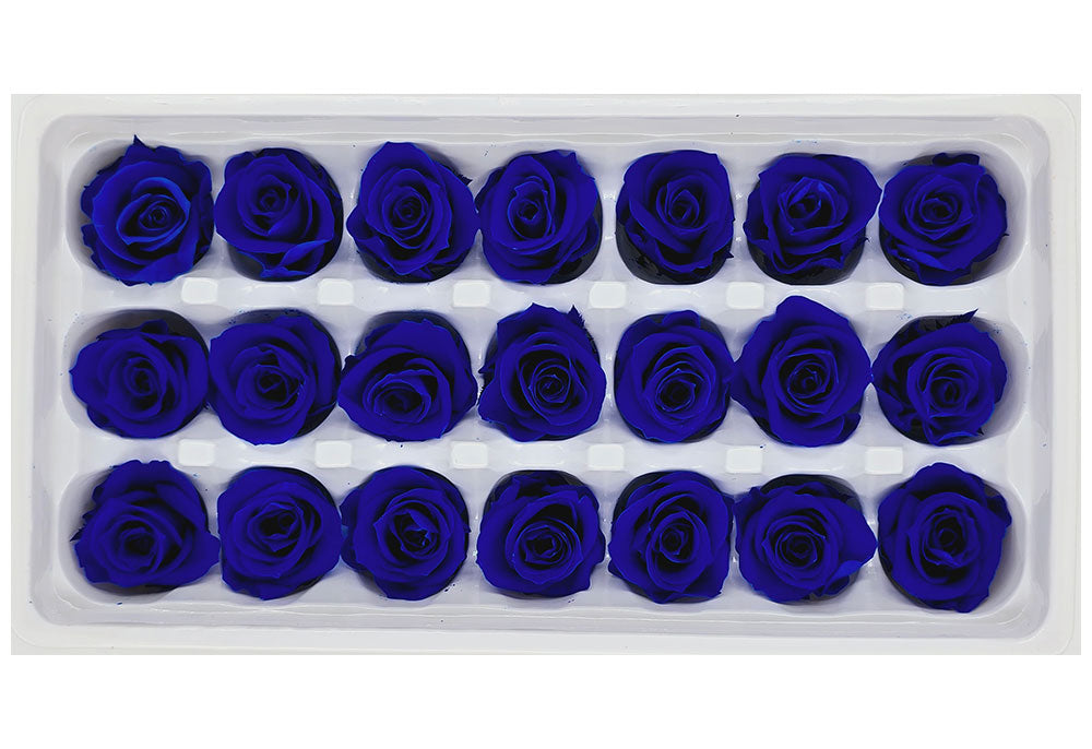 21 Preserved Roses In A Box - Sapphire