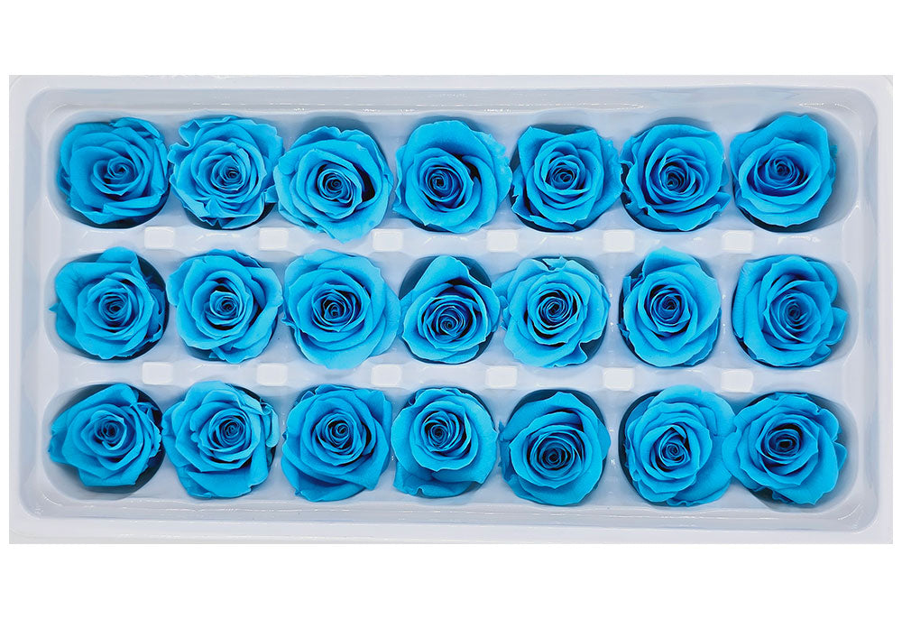 21 Preserved Roses In A Box - Sea Blue