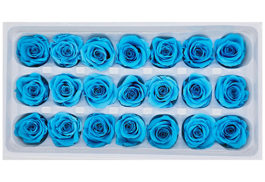 21 Preserved Roses In A Box - Sea Blue