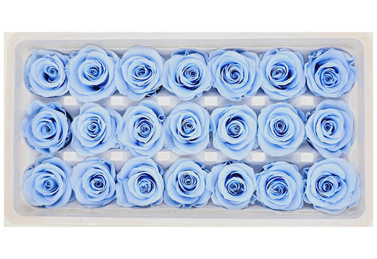 21 Preserved Roses In A Box - Sky Blue