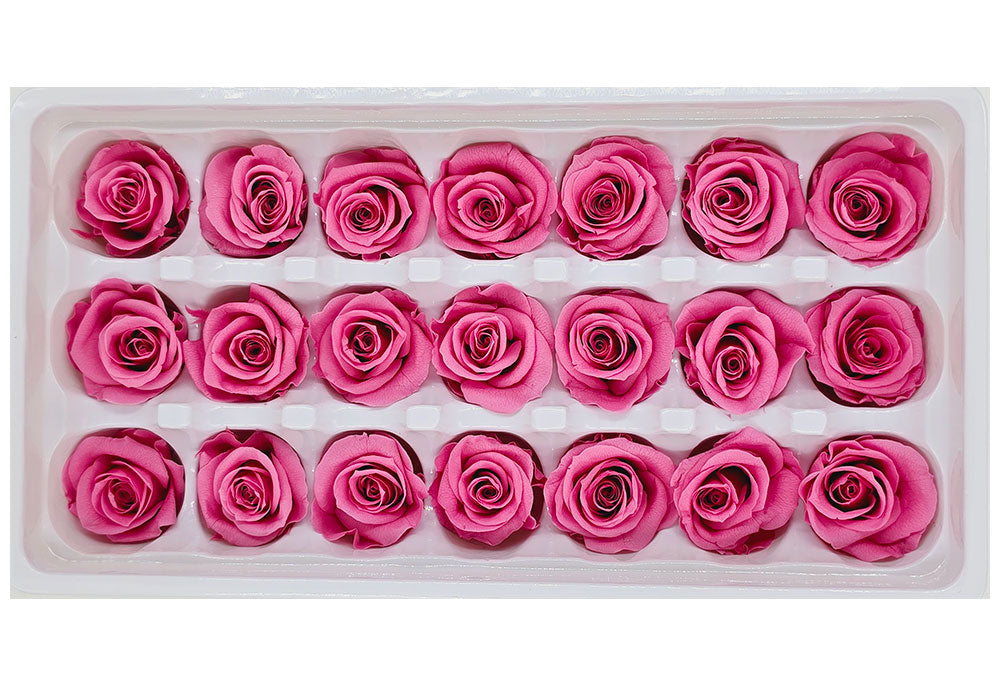 21 Preserved Roses In A Box - Sweet Pink