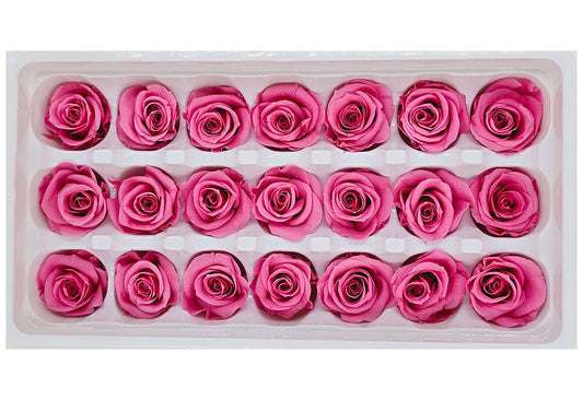 21 Preserved Roses In A Box - Sweet Pink