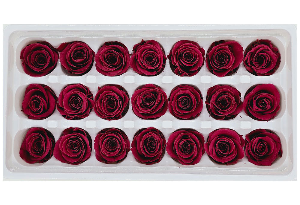 21 Preserved Roses In A Box - Tea Red