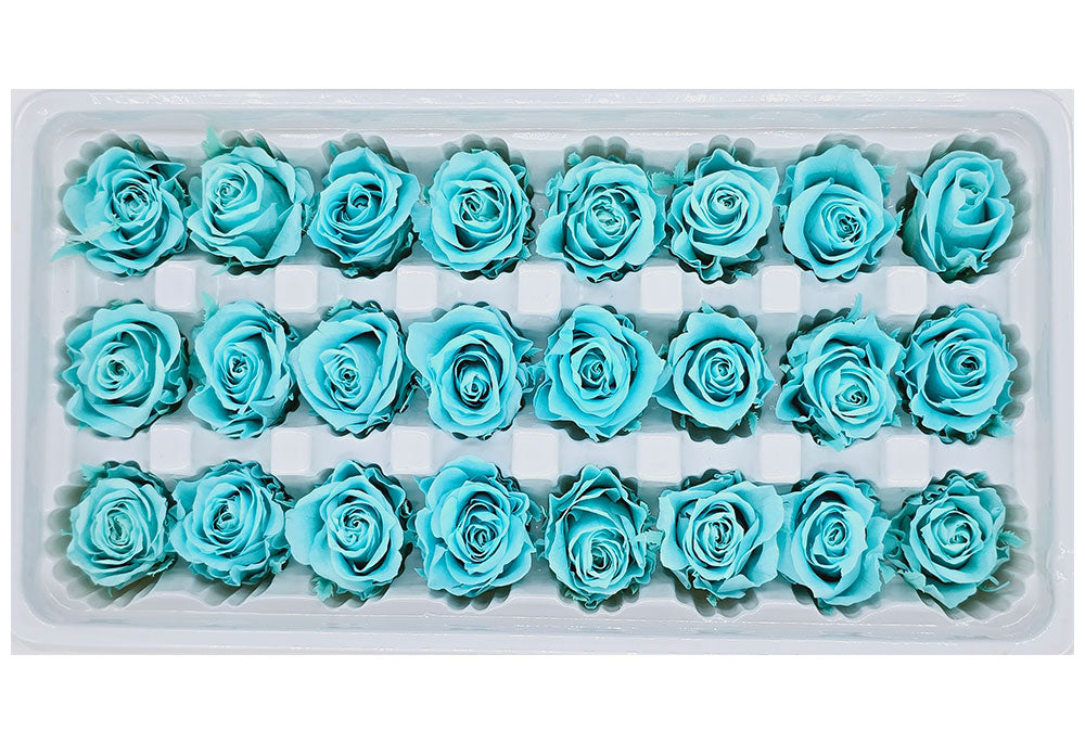 21 Preserved Roses In A Box - Tiffany Blue