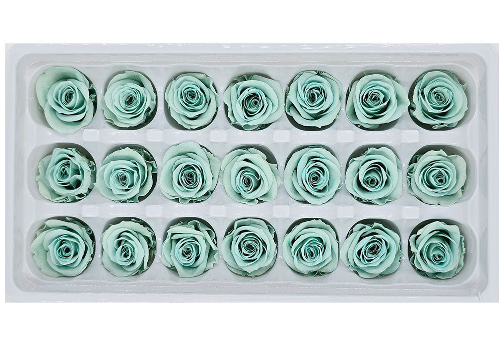 21 Preserved Roses In A Box - Turquoise