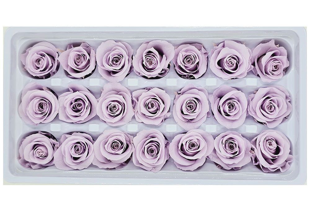 21 Preserved Roses In A Box - Yam Purple