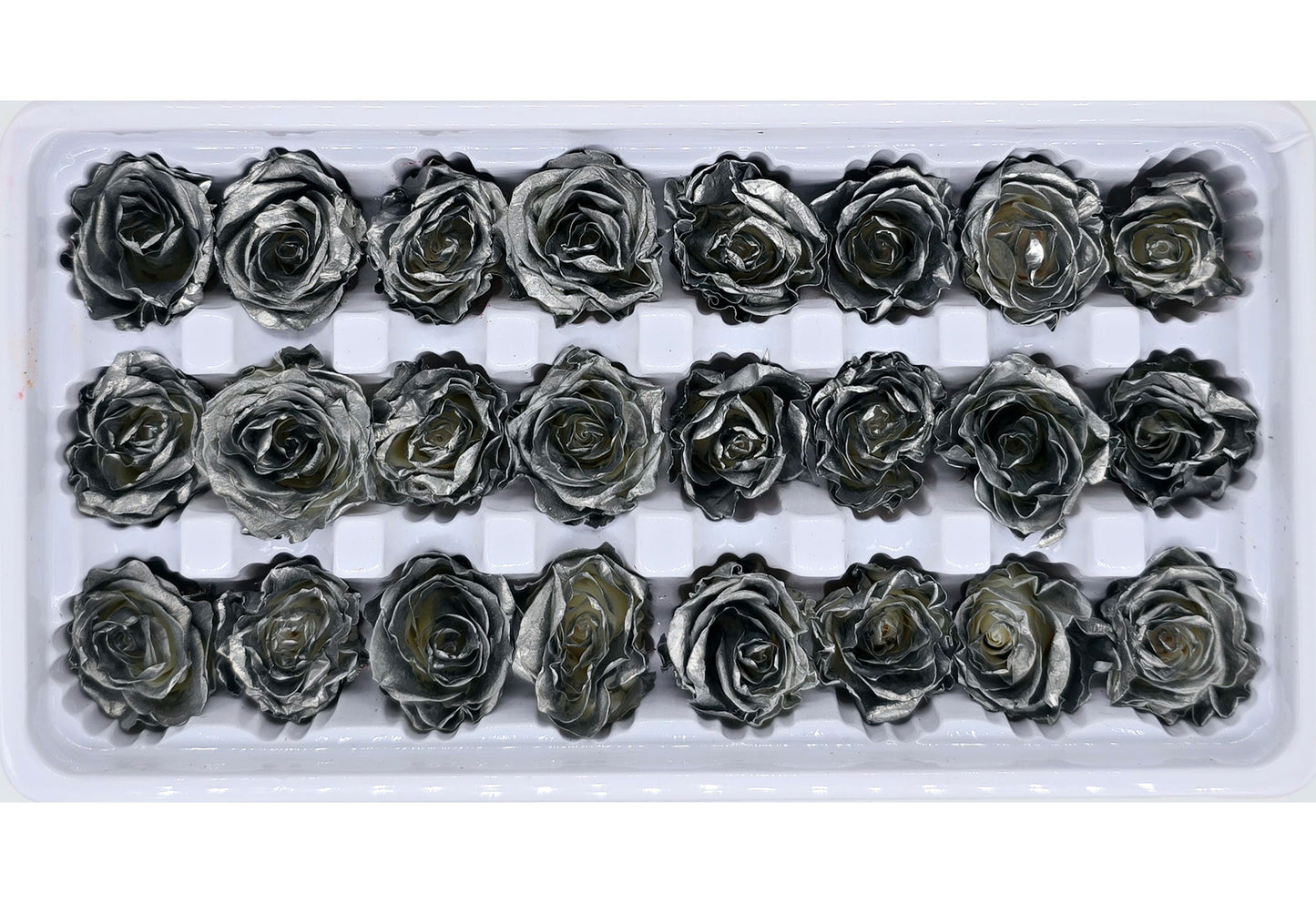 21 Preserved Roses In A Box- Satin Silver Colour