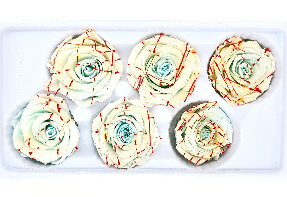 6 Preserved Roses In A Box - Multi Colour