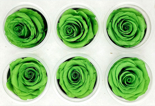 Sample Preserved Roses Preserved Roses – Lee Flora Wholesale