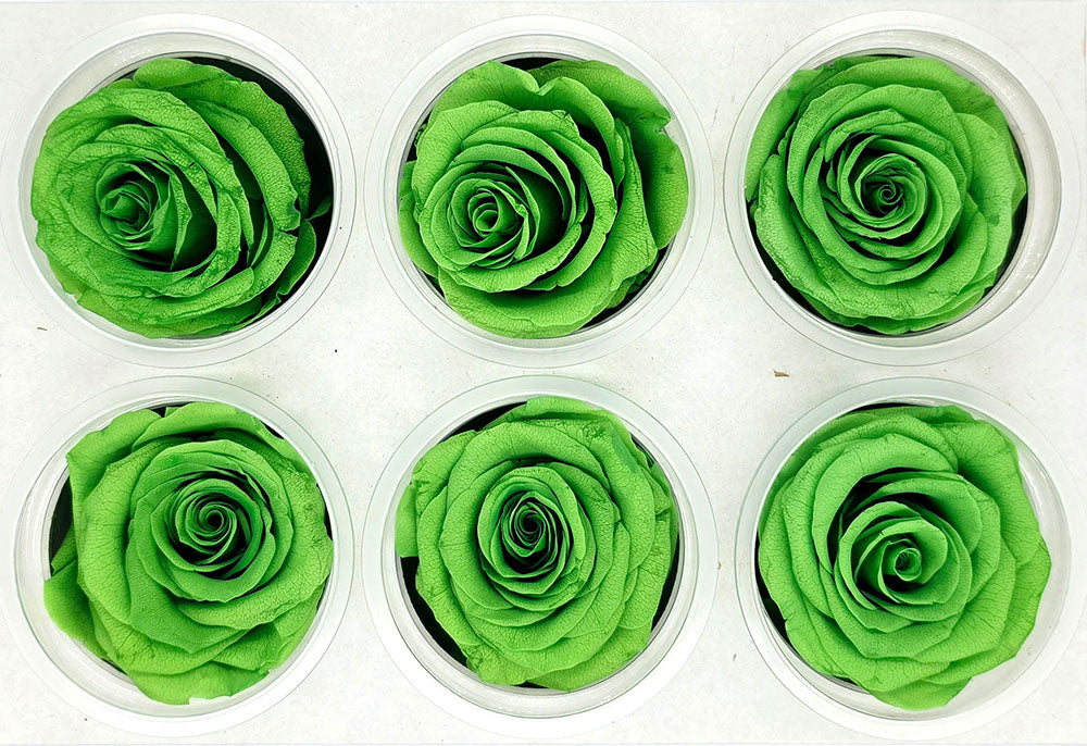 6 Preserved Roses In A Box - Apple Green