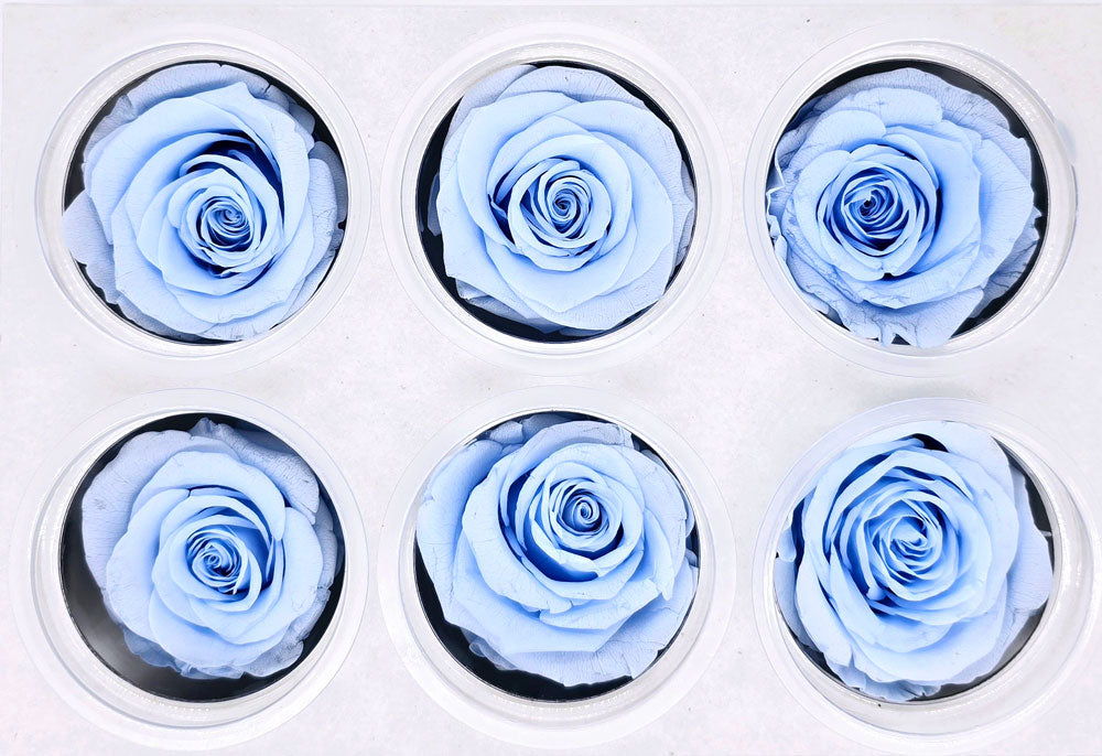 6 Preserved Roses In A Box - Blue Angel