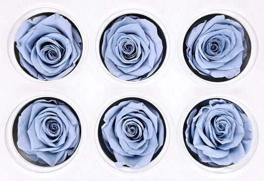 6 Preserved Roses In A Box - Cloudy Blue