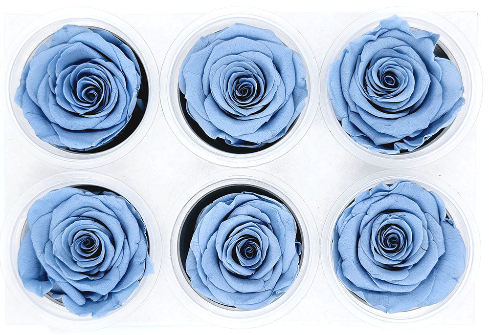 6 Preserved Roses In A Box - Dark Pastel Blue