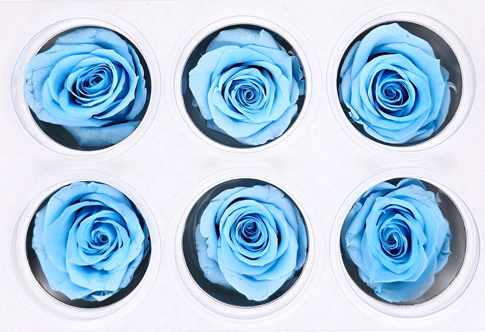 6 Preserved Roses In A Box - Sky Blue