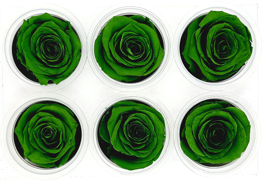 6 Preserved Roses In A Box - Dark Green