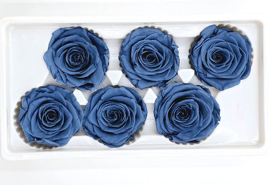 6 Preserved Roses In A Box - Dusty Blue