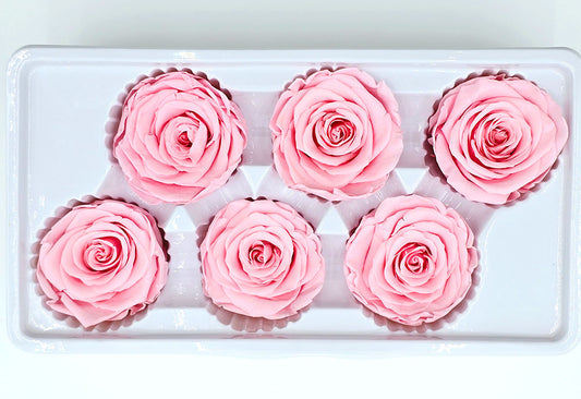 6 Preserved Roses In A Box - Flamingo Pink