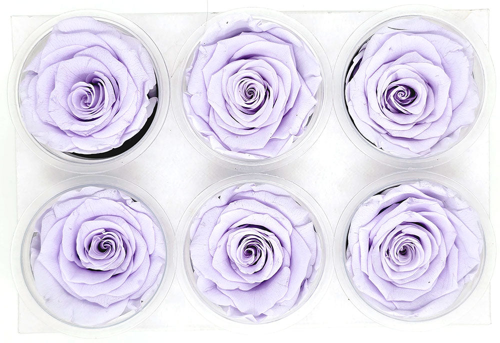 6 Preserved Roses In A Box - Purple