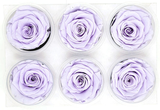 6 Preserved Roses In A Box - Purple