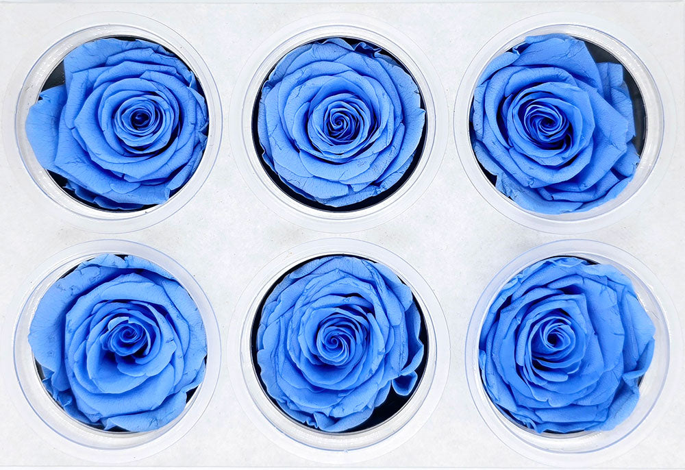 6 Preserved Roses In A Box - Sapphire