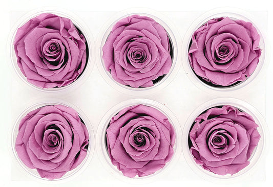 6 Preserved Roses In A Box - Sky Magenta