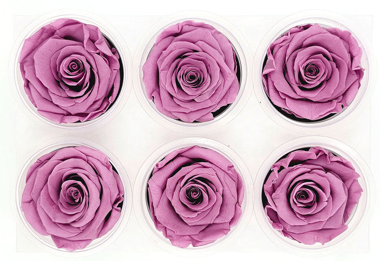 Preserved Roses – Lee Flora Wholesale