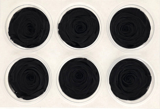 6 Preserved Roses In A Box - Black