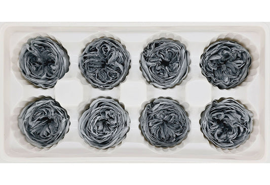 8 Preserved Austin Roses In A Box - Grey