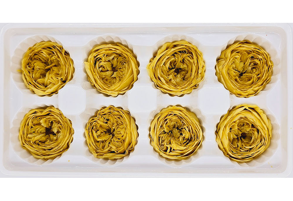 8 Preserved Austin Roses In A Box - Mustard