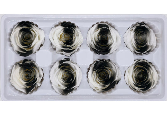 8 Preserved Roses In A Box- Black & White