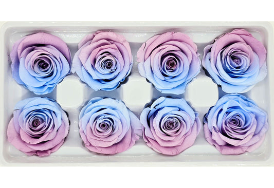 8 Preserved Roses In A Box - Blue & Purple